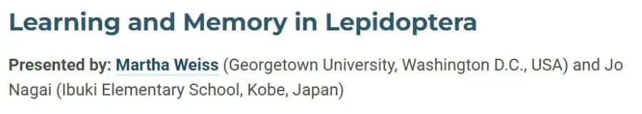 일본 초등학생이 곤충학계를 뒤집은 사건 | mbong.kr 엠봉