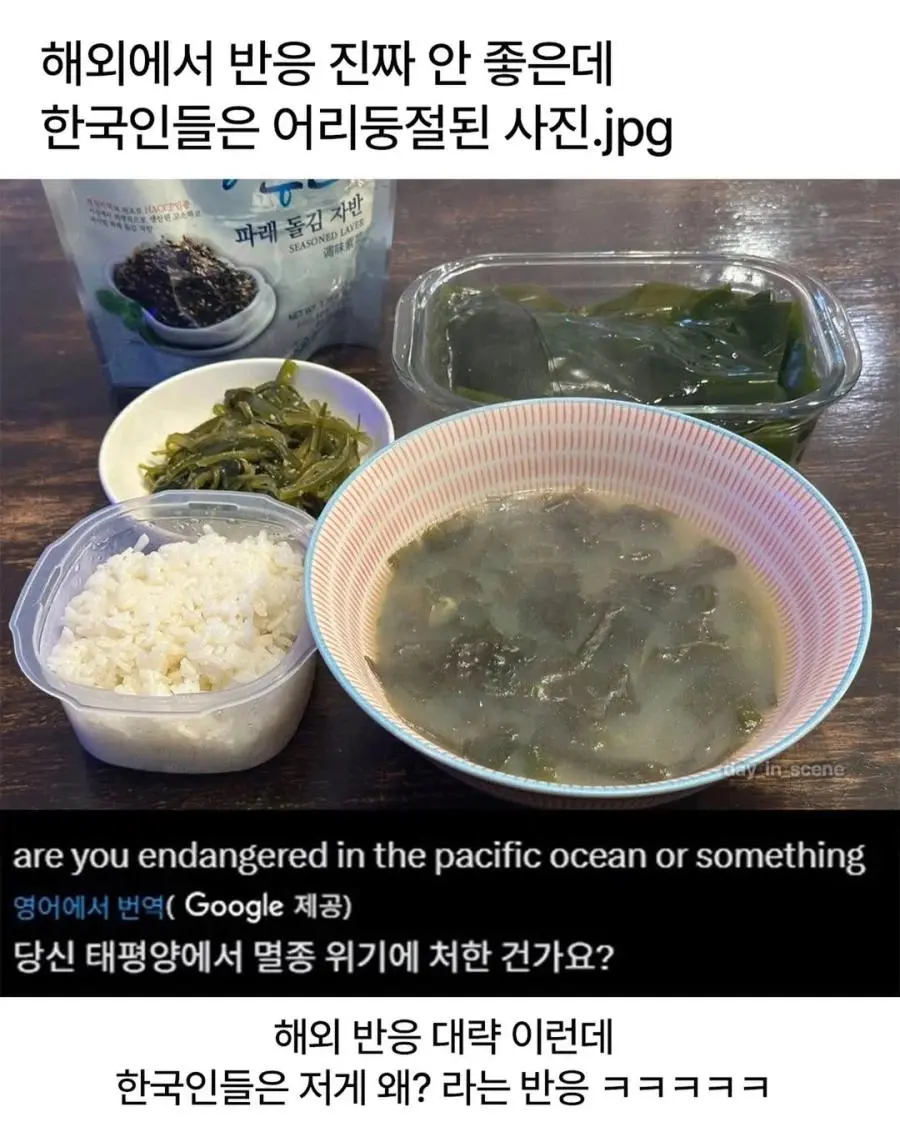 해외 반응 안좋은데 한국인들은 어리둥절.jpg | mbong.kr 엠봉