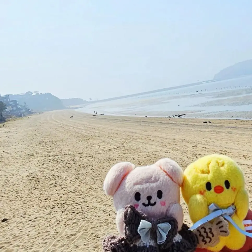 인천 놀러와서 대놓고 강도짓 당했다는 일본인 | mbong.kr 엠봉