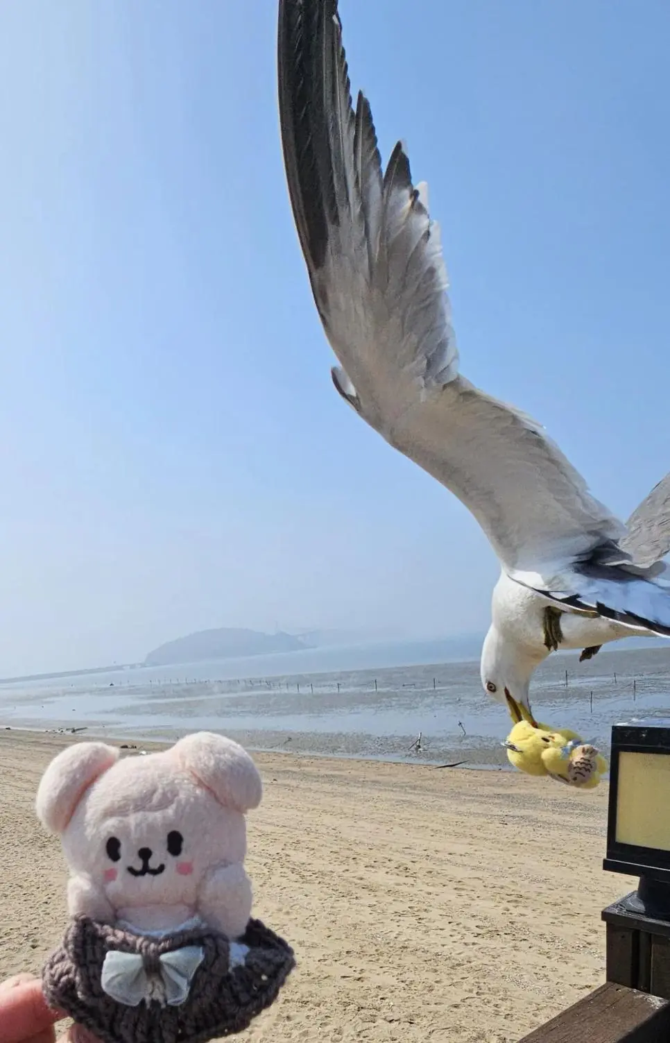 인천 놀러와서 대놓고 강도짓 당했다는 일본인 | mbong.kr 엠봉