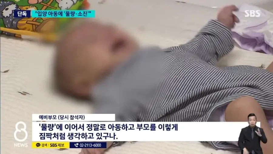 논란 터진 입양 심사 기관 | mbong.kr 엠봉