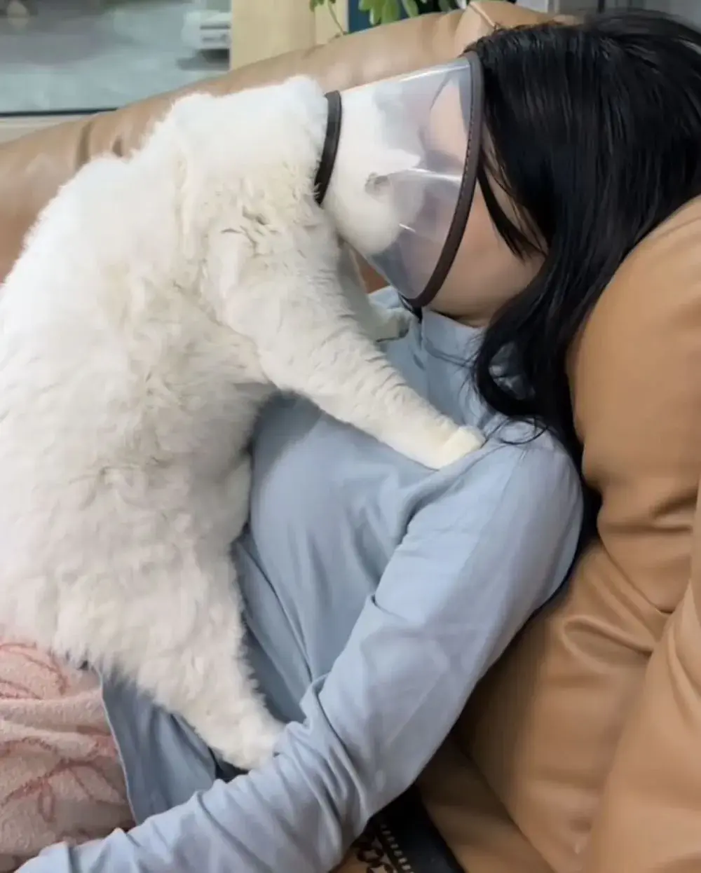 감히 나를 고자로 만들어? 집사야 뭐라도 말해봐 | mbong.kr 엠봉