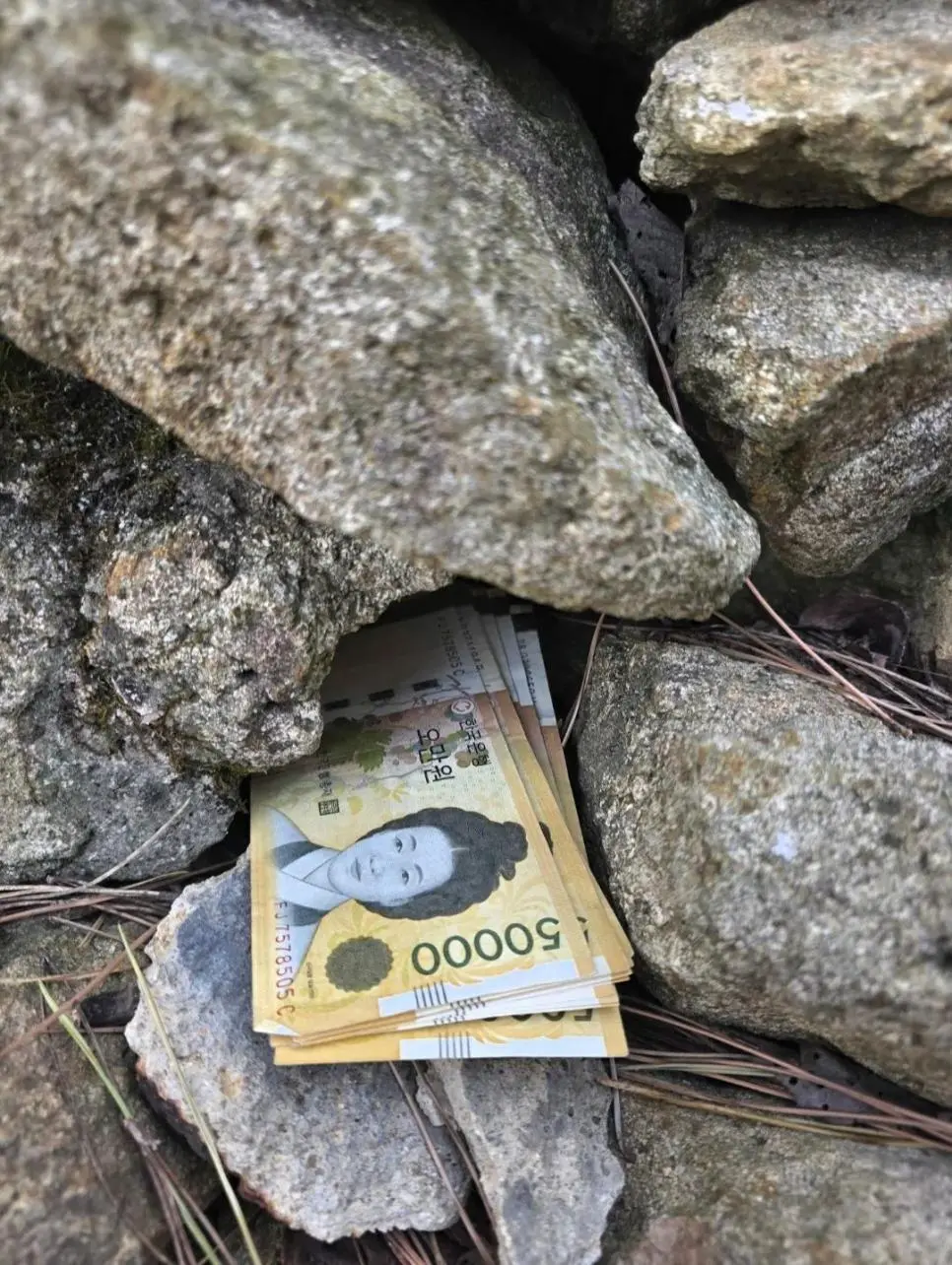 뒷산 갔다가 돈 50만원 주웠다는 디시인.jpg | mbong.kr 엠봉