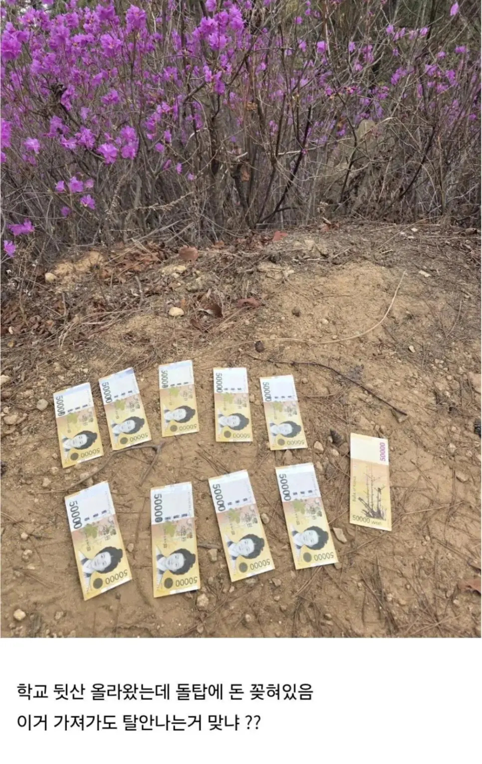뒷산 갔다가 돈 50만원 주웠다는 디시인.jpg | mbong.kr 엠봉