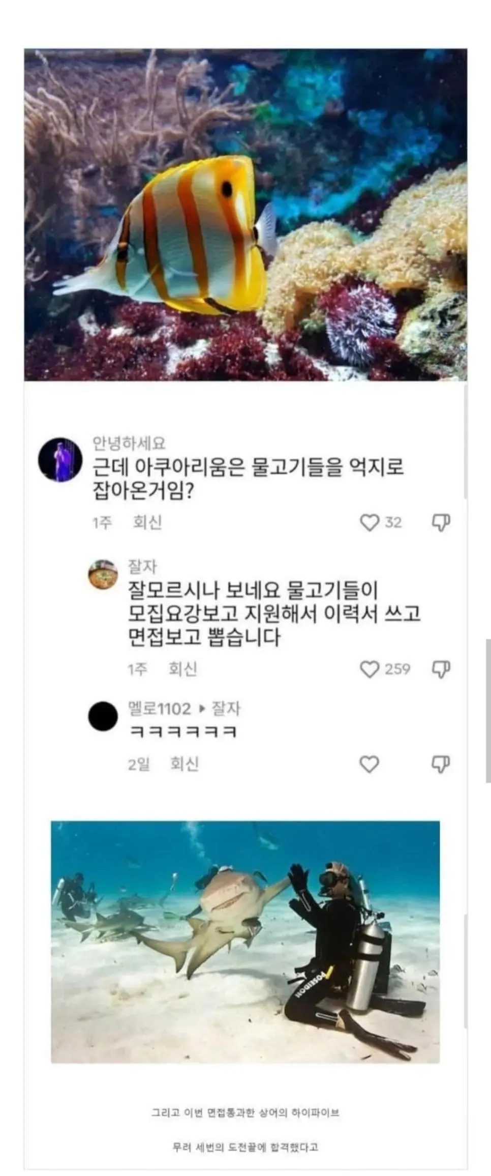 아쿠아리움 물고기는 억지로 잡아온 거임? | mbong.kr 엠봉