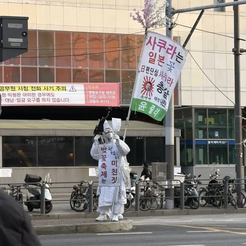 벚꽃축제 근황 | mbong.kr 엠봉