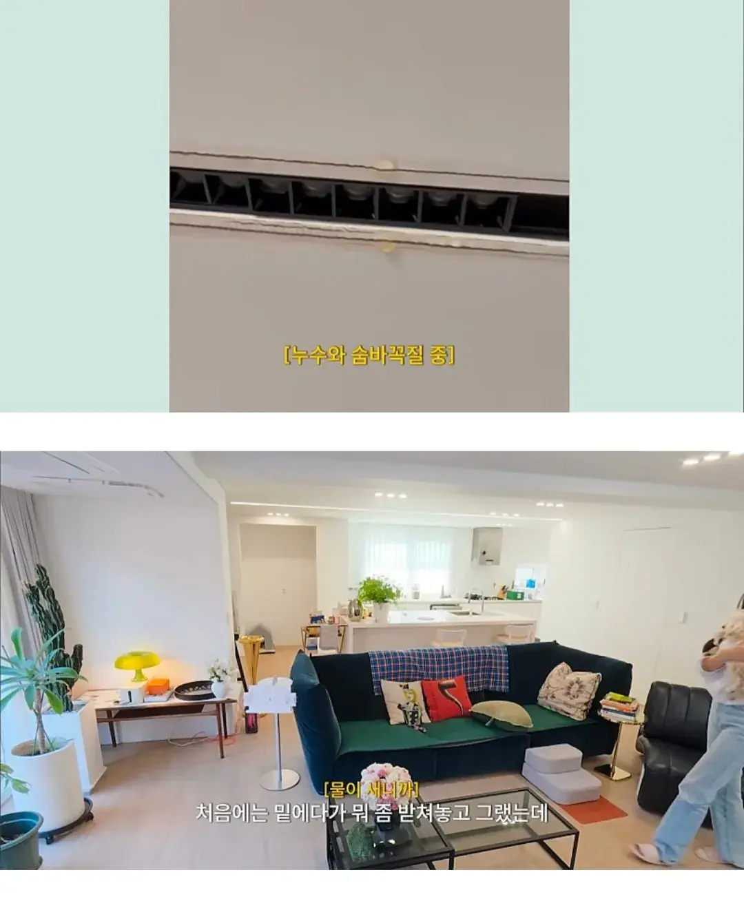 인테리어 사기 당한 김사랑 근황 | mbong.kr 엠봉