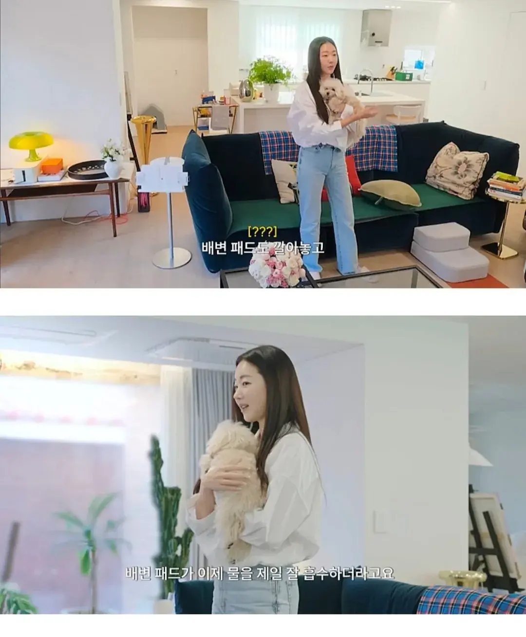 인테리어 사기 당한 김사랑 근황 | mbong.kr 엠봉