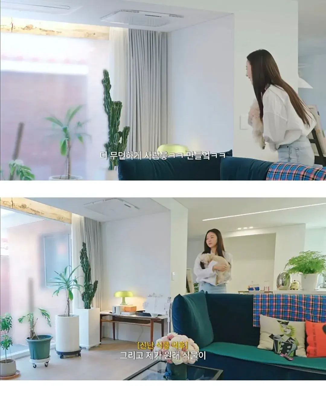 인테리어 사기 당한 김사랑 근황 | mbong.kr 엠봉