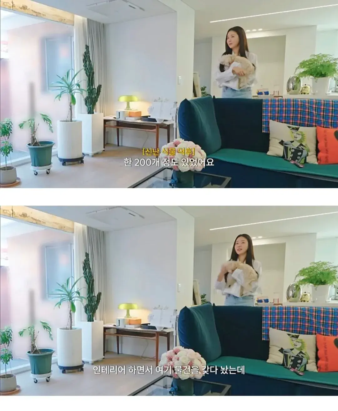 인테리어 사기 당한 김사랑 근황 | mbong.kr 엠봉