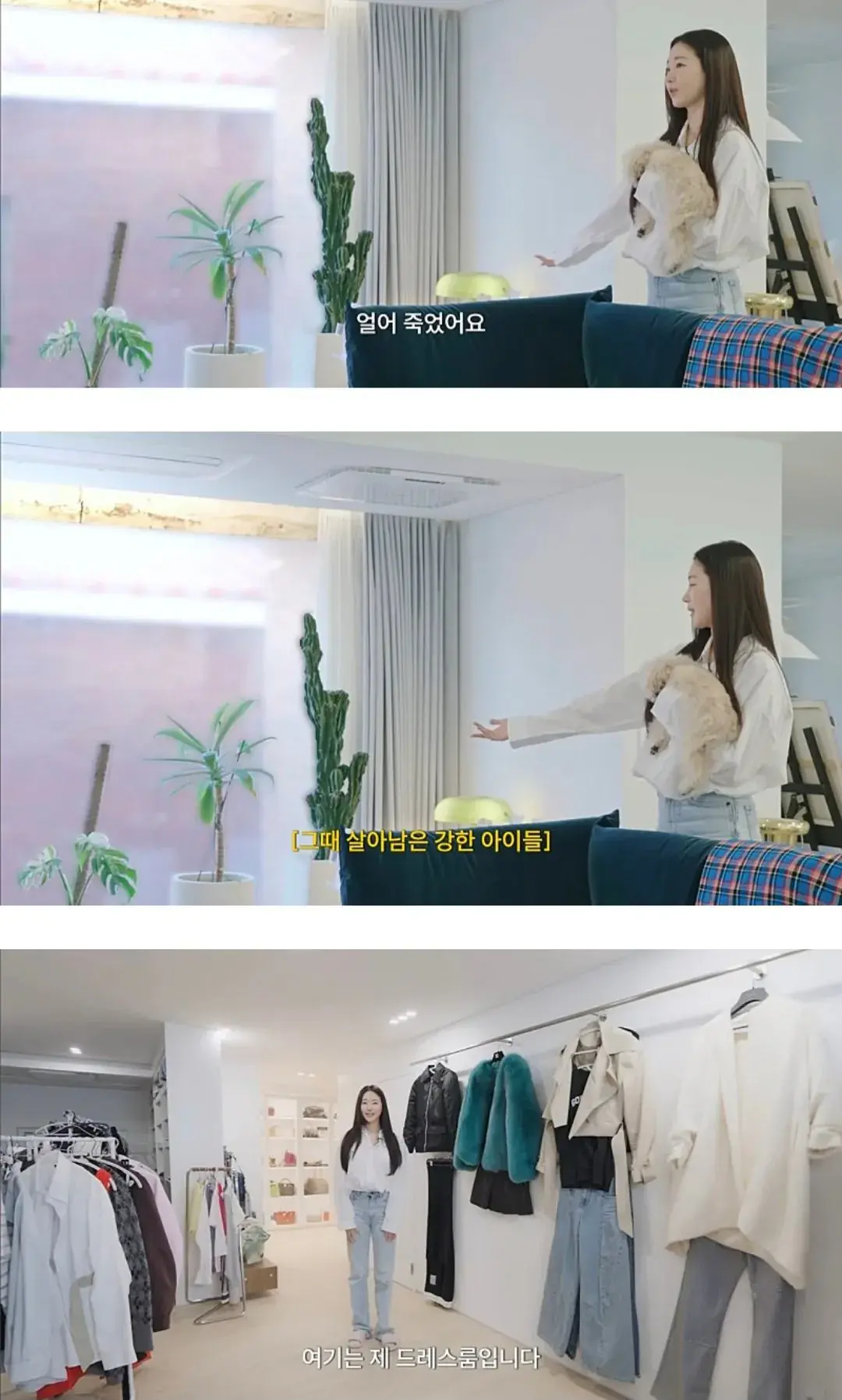 인테리어 사기 당한 김사랑 근황 | mbong.kr 엠봉