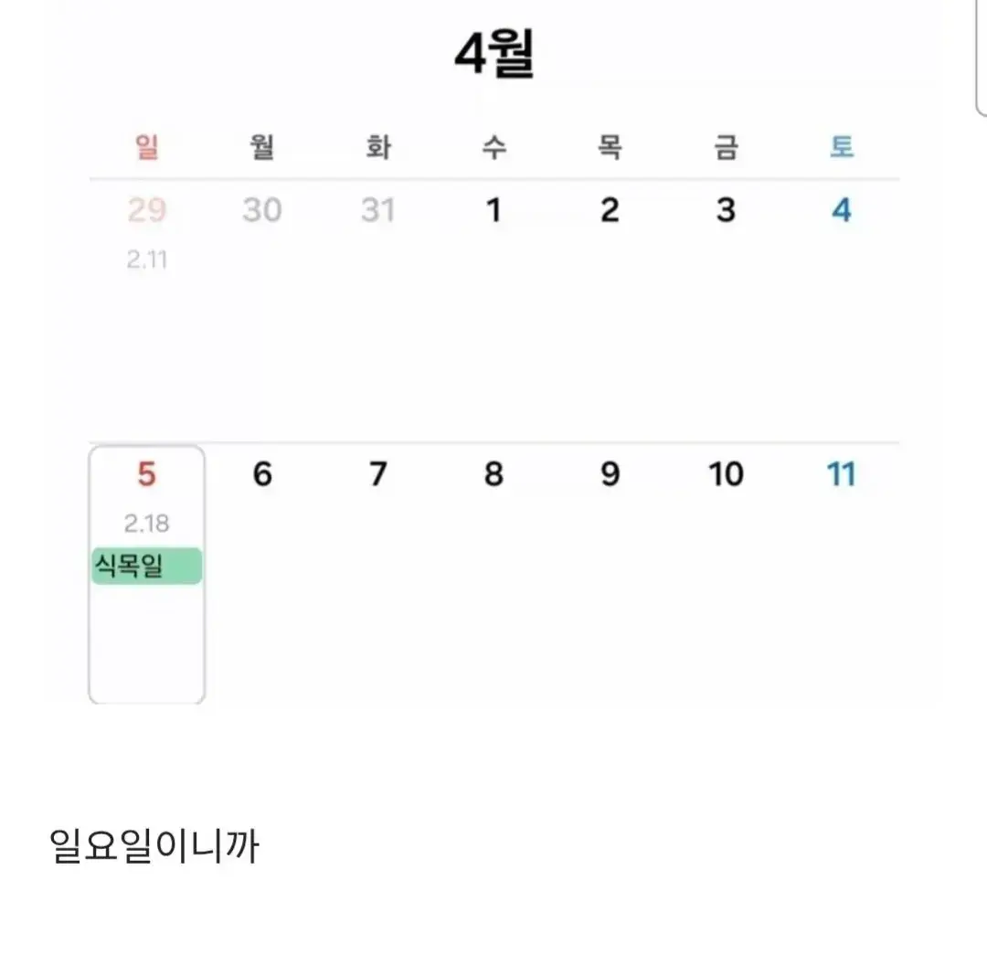 올해 식목일은 휴일 확정 | mbong.kr 엠봉