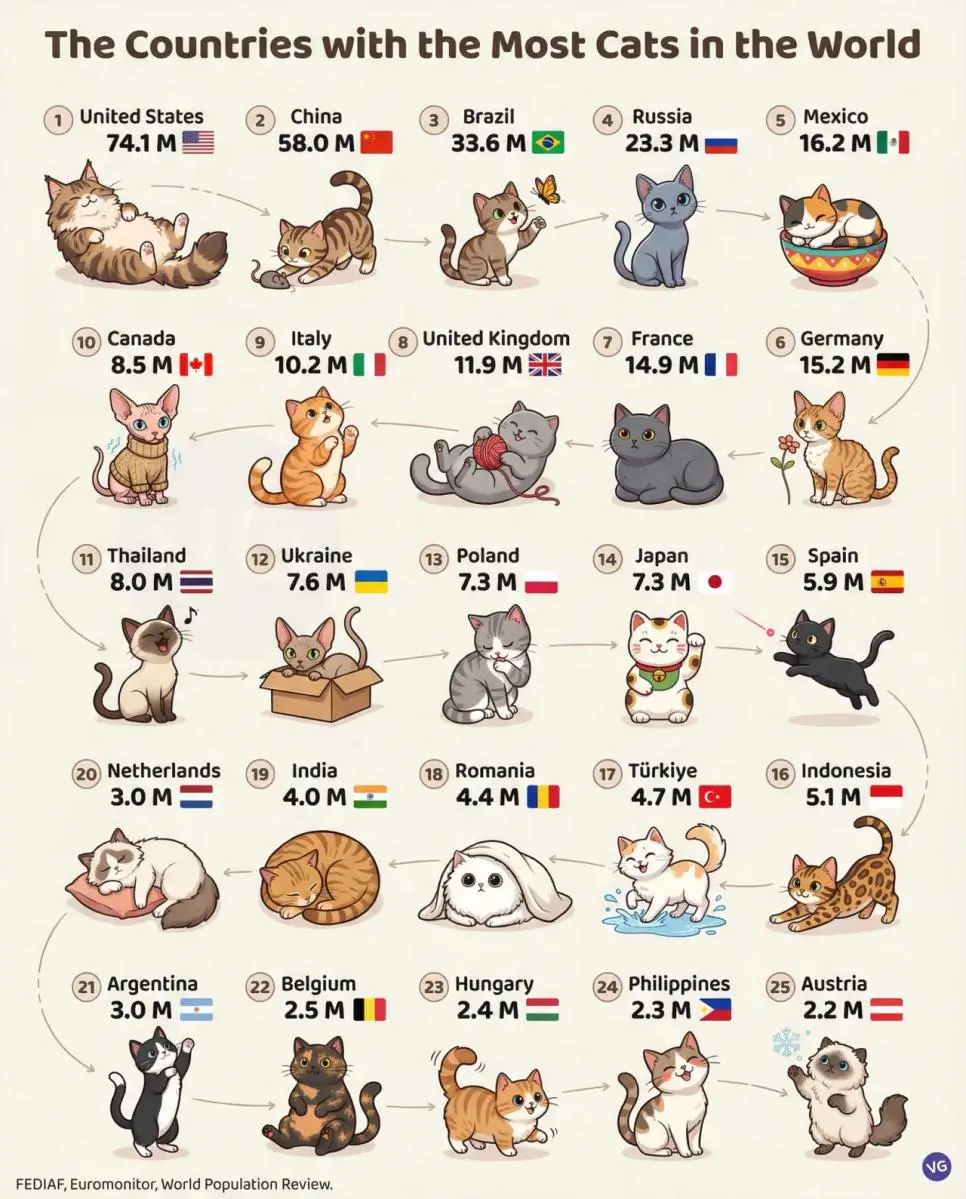 고양이가 많이 사는 국가 세계 순위 | mbong.kr 엠봉