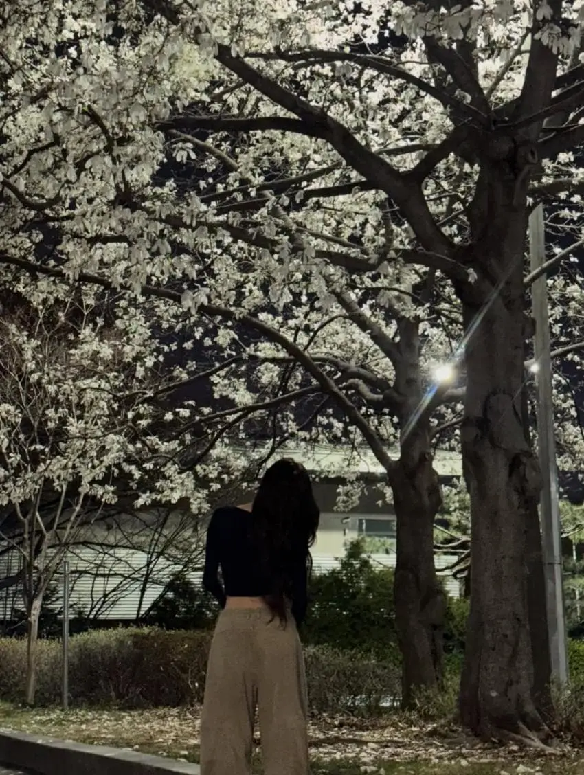 이찌 유나 | mbong.kr 엠봉