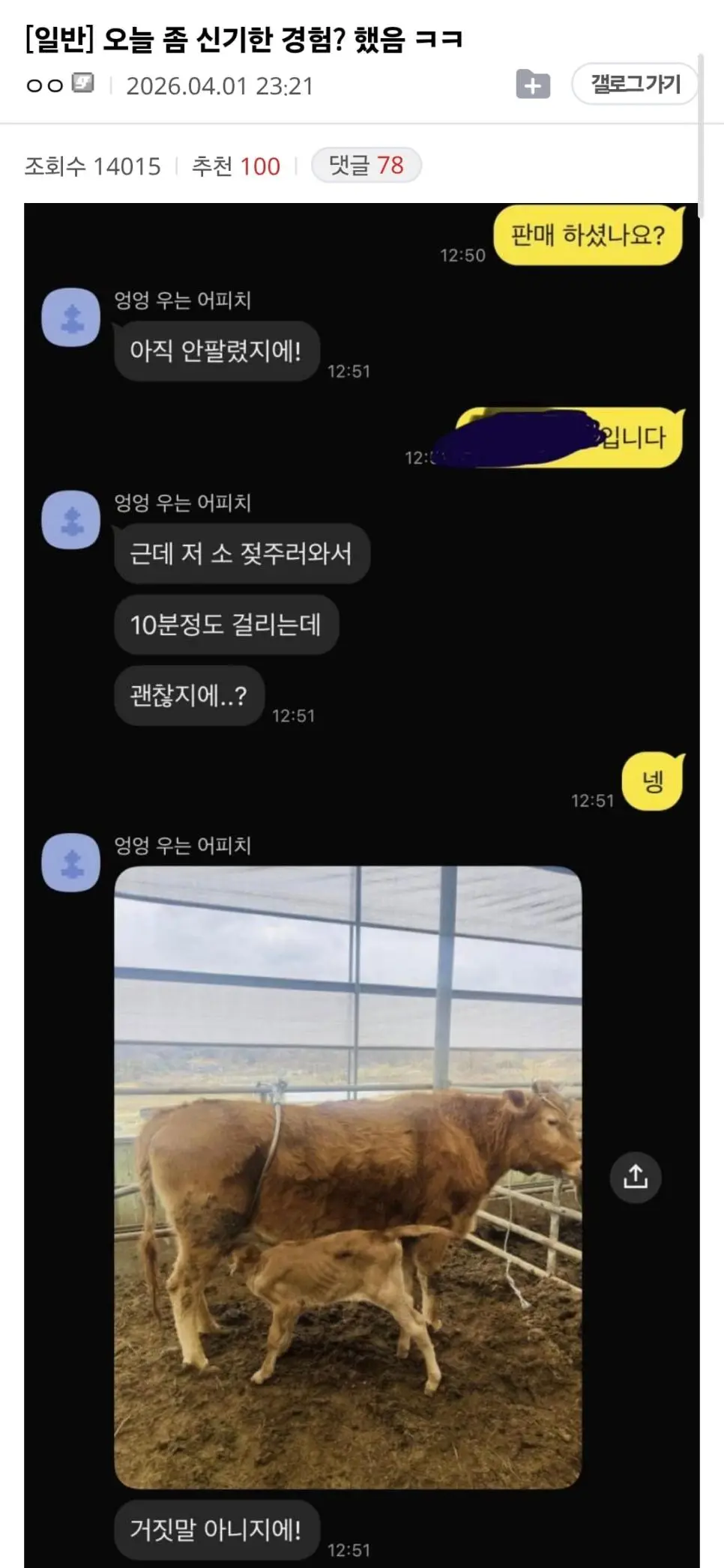 롤 하다가 송아지 태어나서 탈주한 샤코 근황 | mbong.kr 엠봉