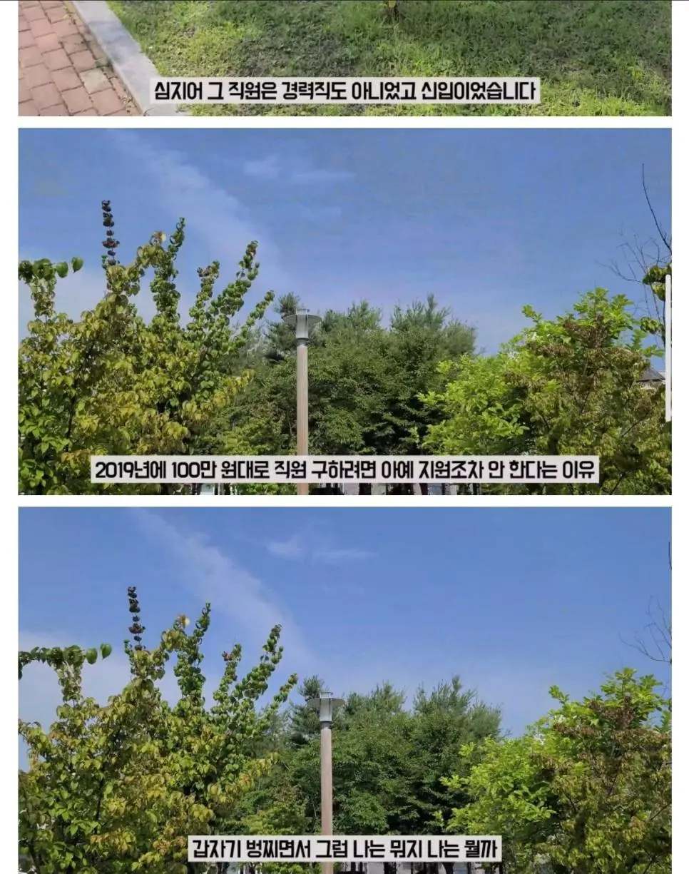 중소기업의 현실 | mbong.kr 엠봉