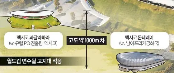 월드컵 고지대 경기 대비 mb 전략 | mbong.kr 엠봉