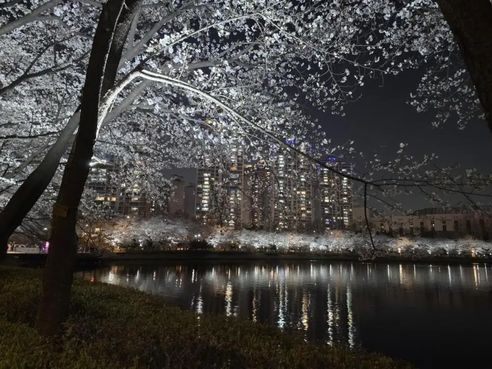 현재 석촌호수.jpg | mbong.kr 엠봉