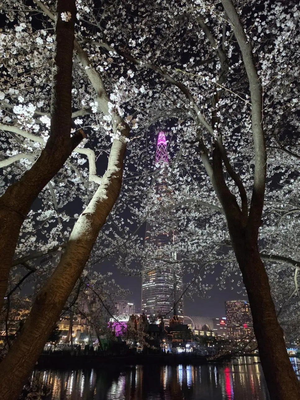 현재 석촌호수.jpg | mbong.kr 엠봉