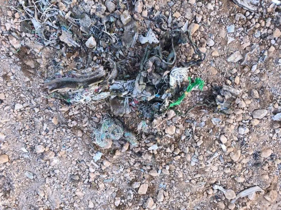 이란이 F-35 격추했다고 발표한 추가 사진들 | mbong.kr 엠봉