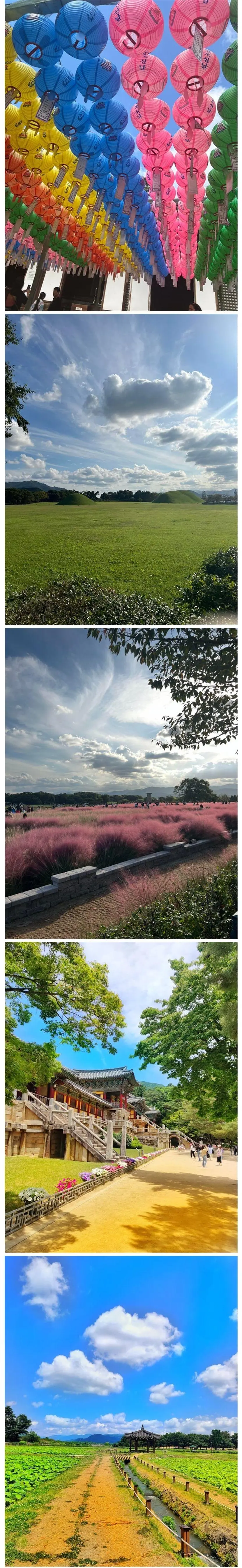 외국인들이 찍은 경주 여행 사진. | mbong.kr 엠봉