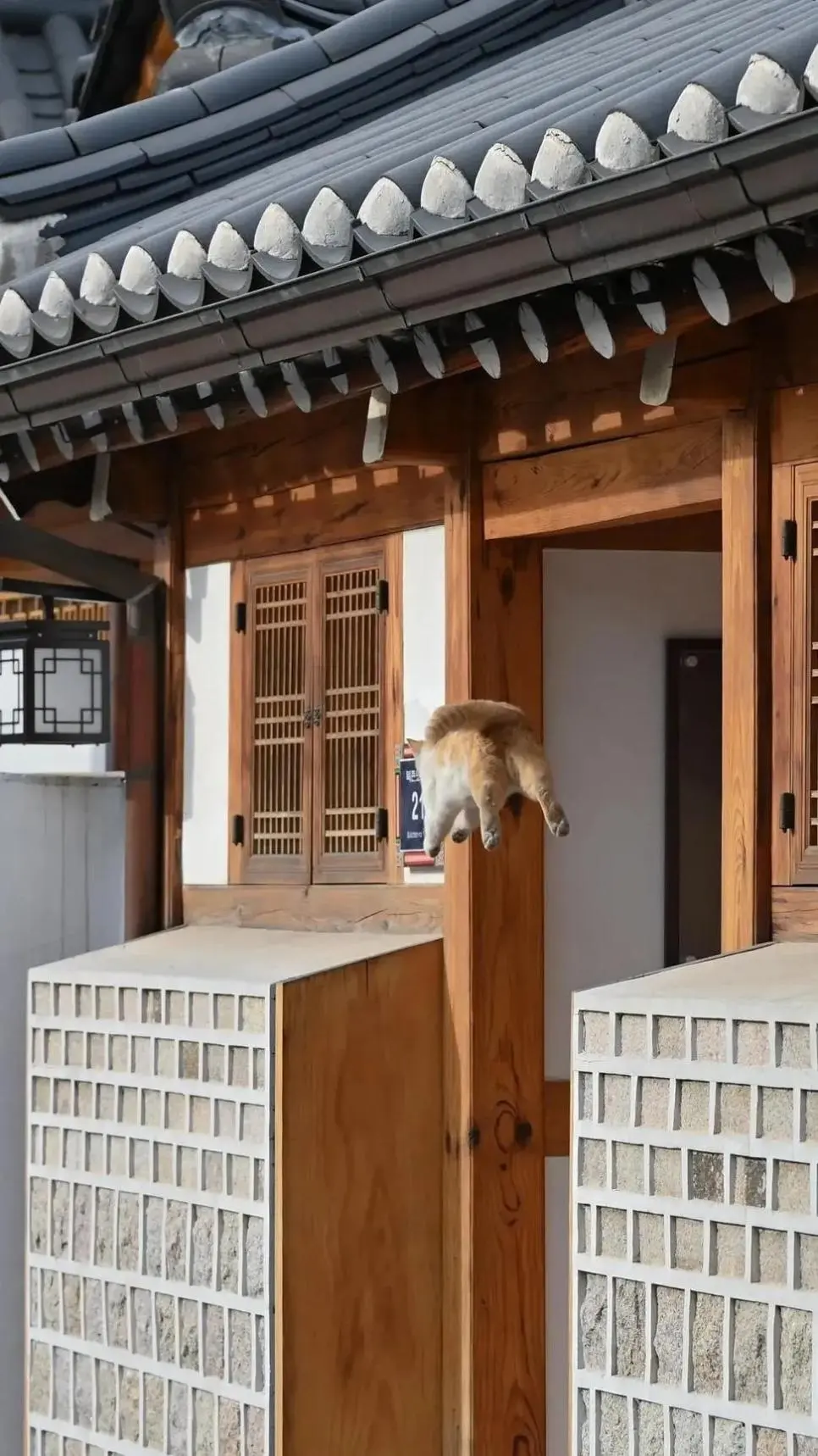 대만 관광객이 북촌에서 찍은 찰나의 순간 | mbong.kr 엠봉