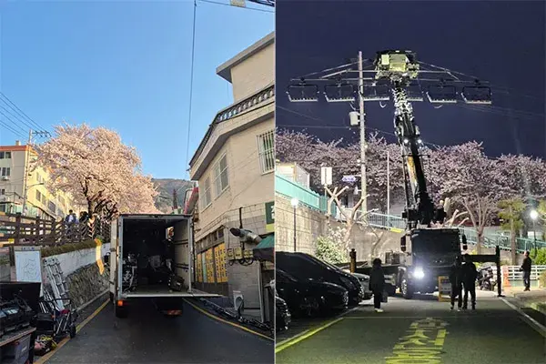 부산 벚꽃길 드라마 촬영팀 갑질 근황 | mbong.kr 엠봉