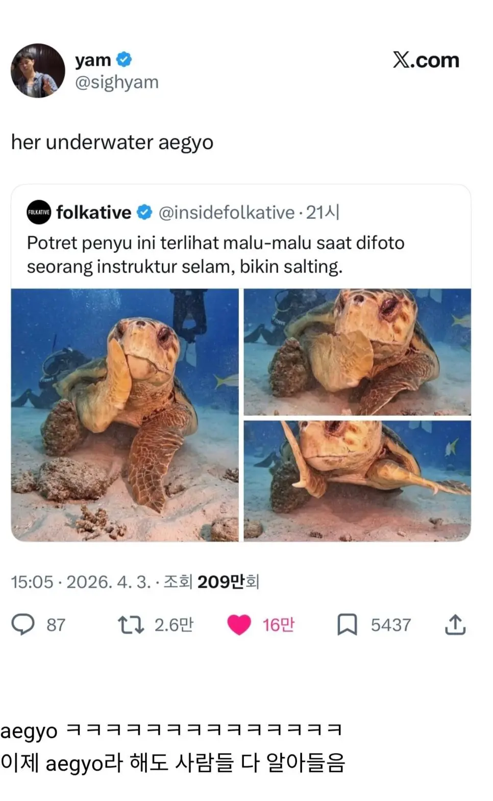 해외 반응 난리난 바다거북 사진...jpg | mbong.kr 엠봉