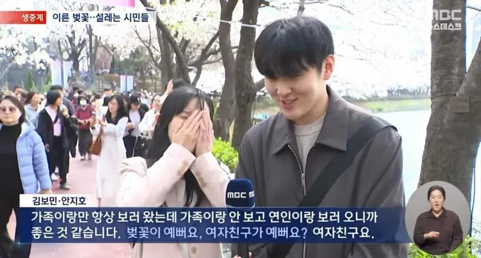 또다시 등장한 설레는 벚꽃주접.jpg | mbong.kr 엠봉