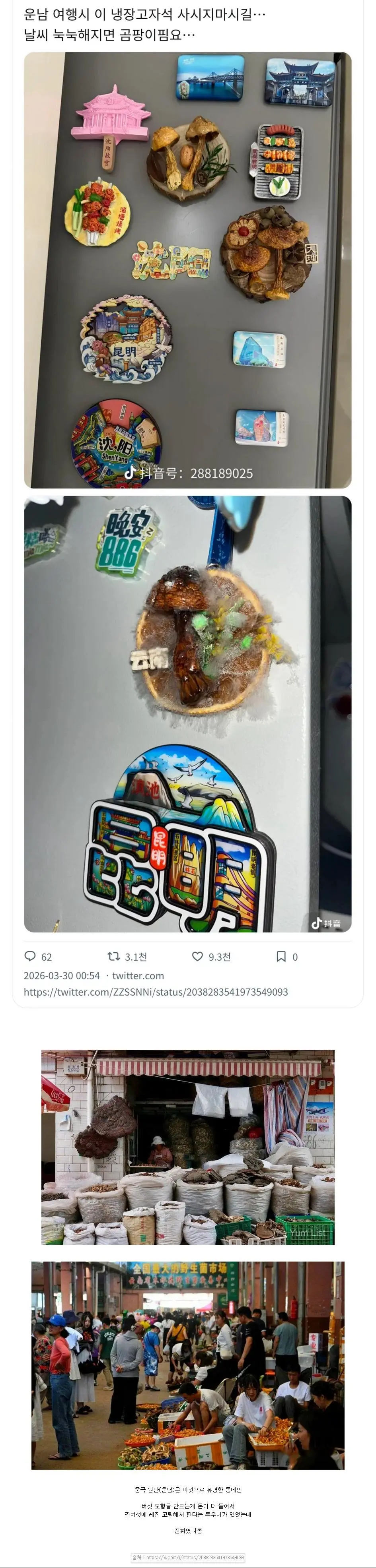 중국에서 판매하는 버섯모양 냉장고자석 | mbong.kr 엠봉