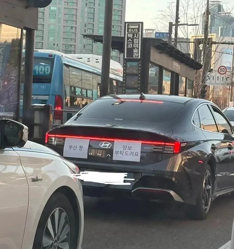 부산에 놀러온 초보운전자.jpg | mbong.kr 엠봉