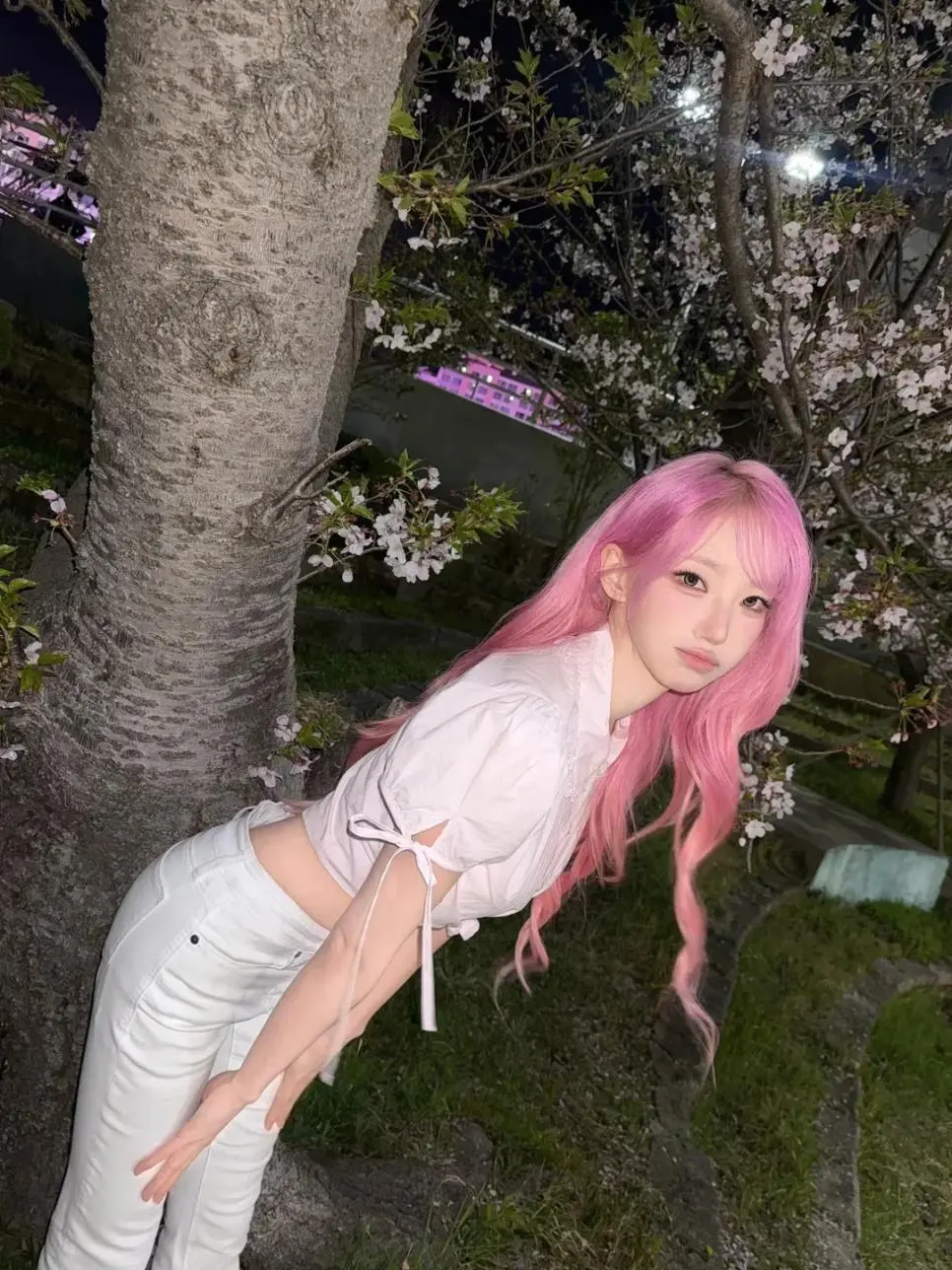 qwer 마젠타 벚꽃구경 인스타 | mbong.kr 엠봉