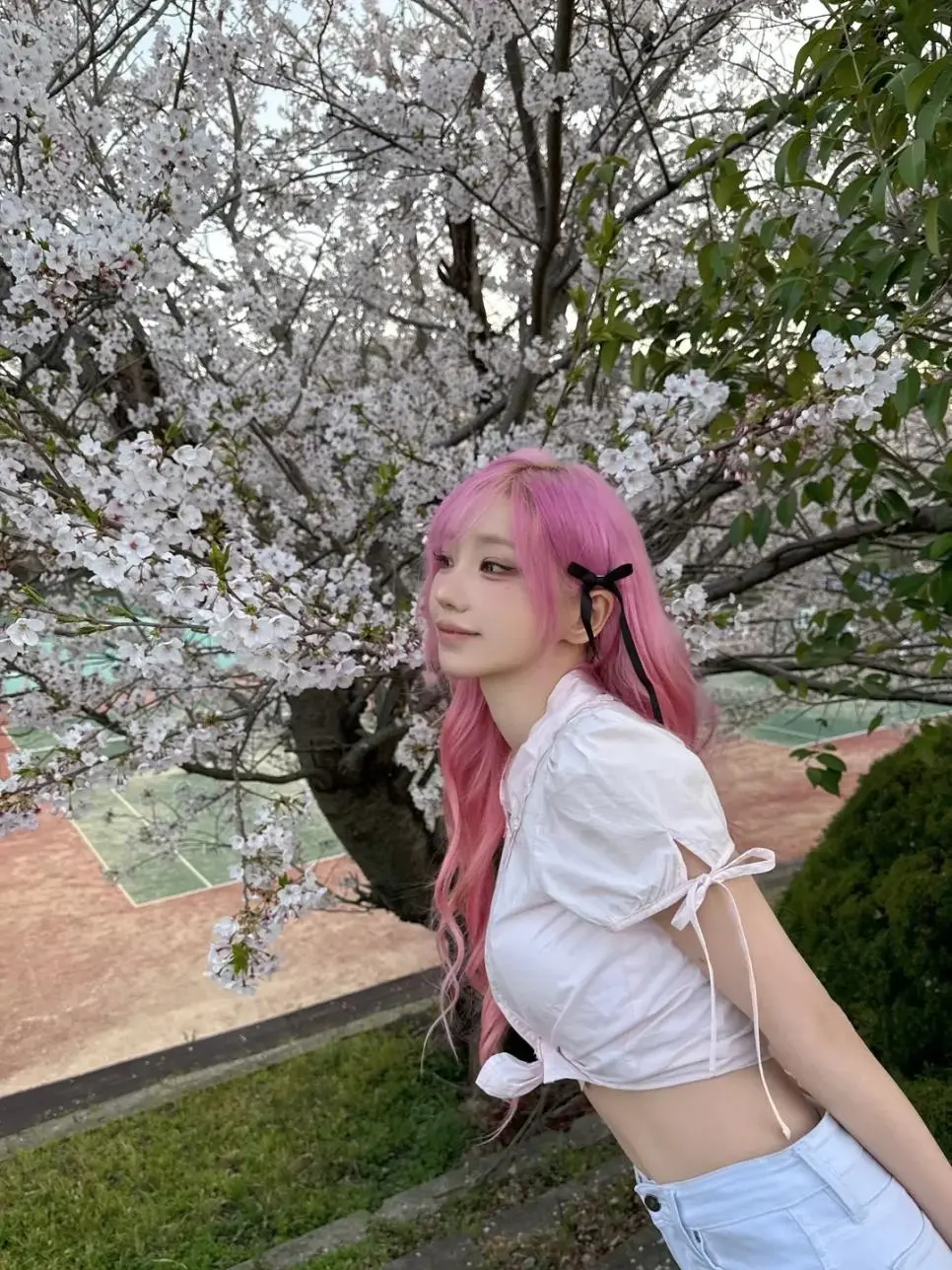 qwer 마젠타 벚꽃구경 인스타 | mbong.kr 엠봉