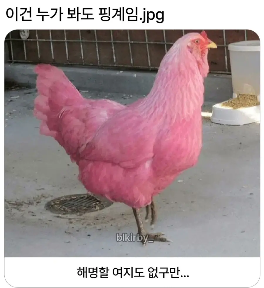 이건 누가 봐도 핑계임 | mbong.kr 엠봉