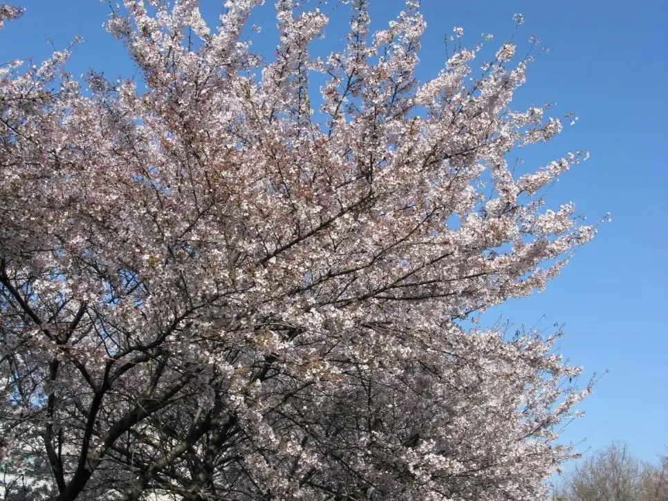아이브(안)유진 인스타 | mbong.kr 엠봉