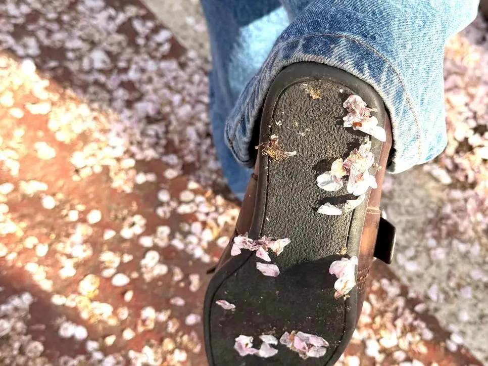 아이브(안)유진 인스타 | mbong.kr 엠봉