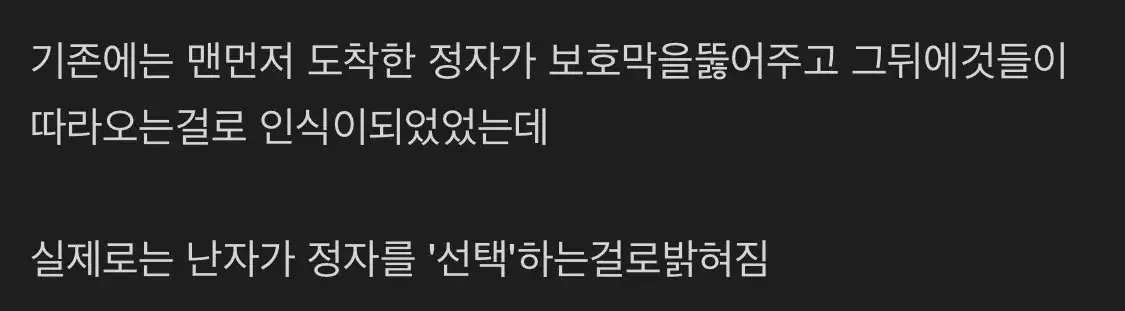 임신에 대한 충격적인 사실 | mbong.kr 엠봉