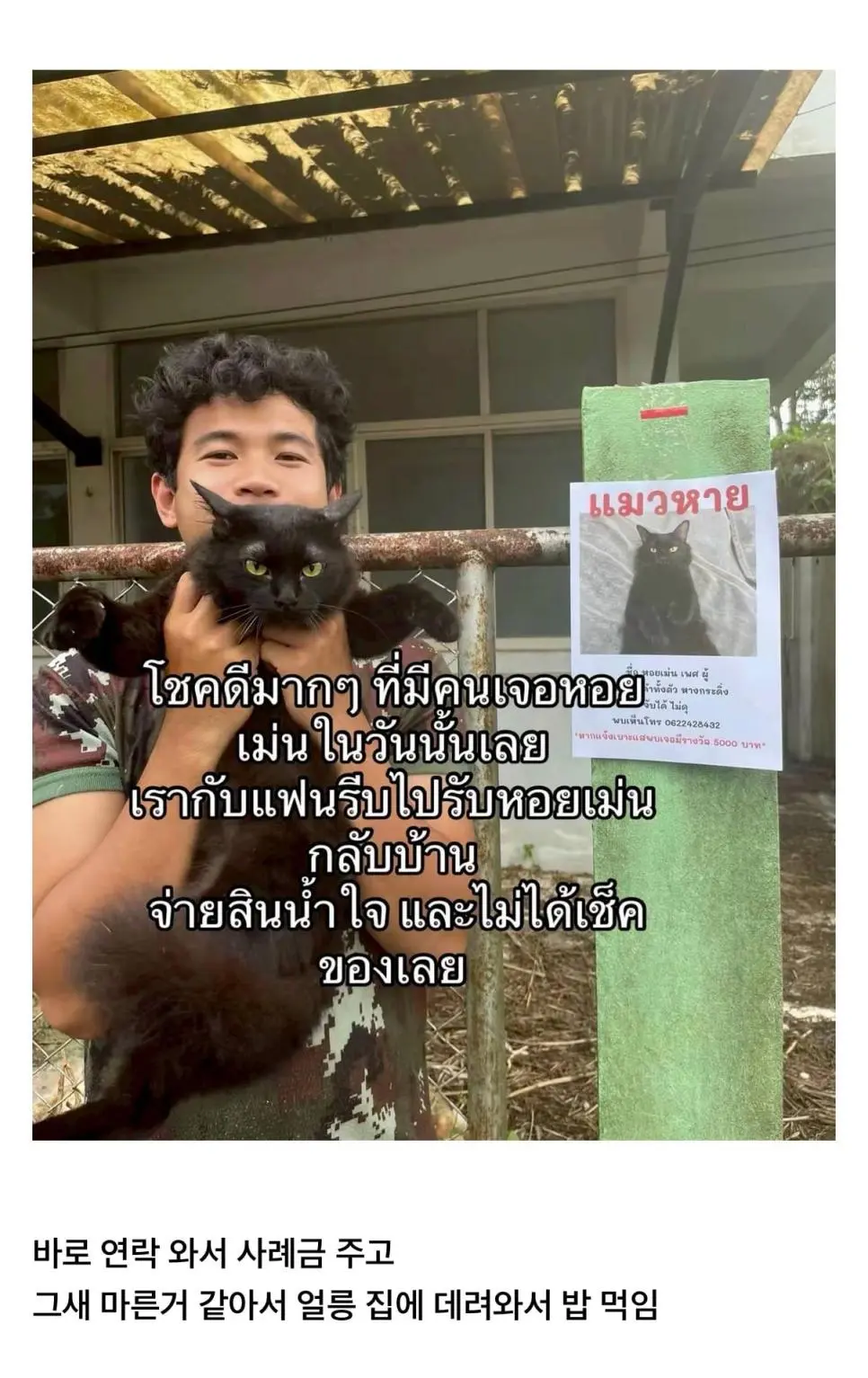 고양이를 잃어버렸는데 찾긴 찾았음 | mbong.kr 엠봉