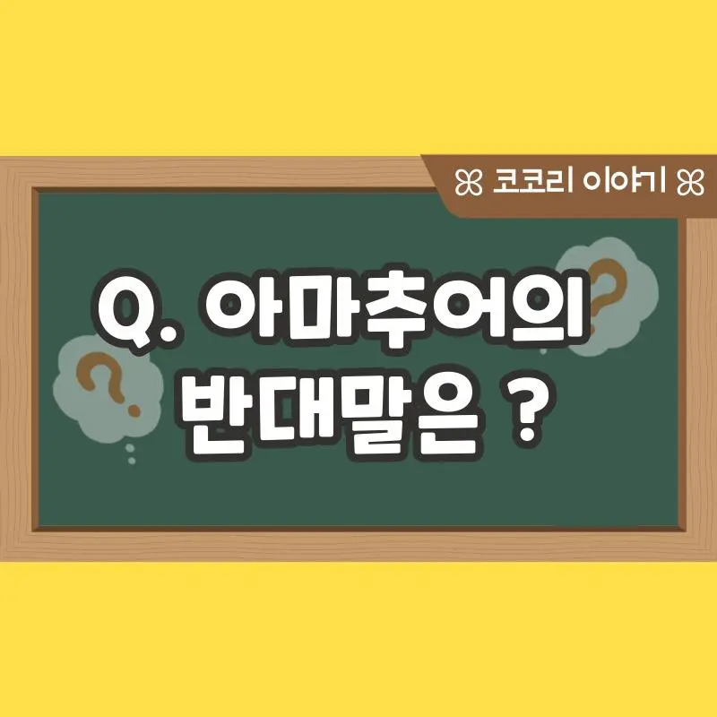 아마추어의 반댓말은? | mbong.kr 엠봉