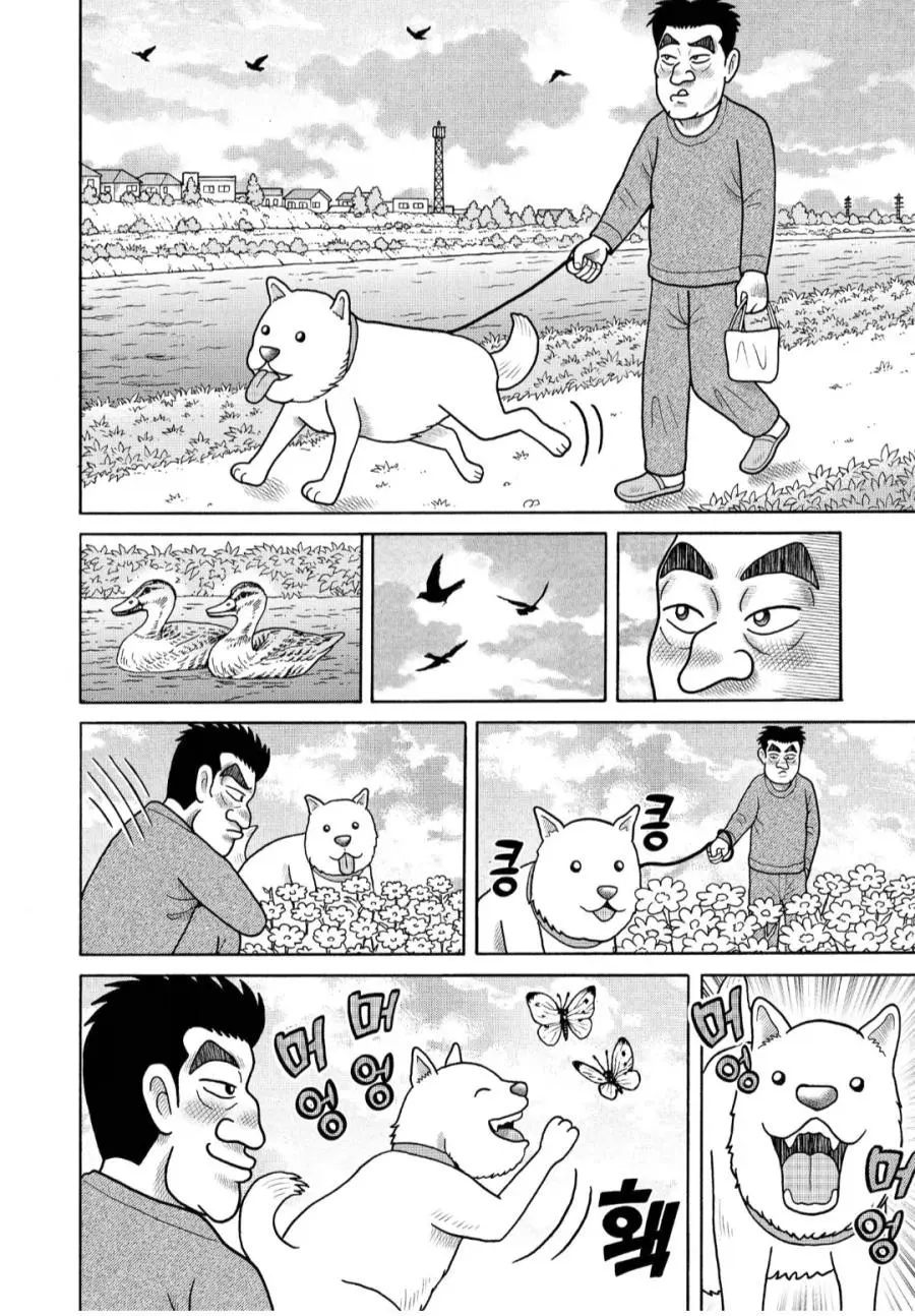 알콜중독자가 강아지를 키워야 하는 이유.JPG | mbong.kr 엠봉