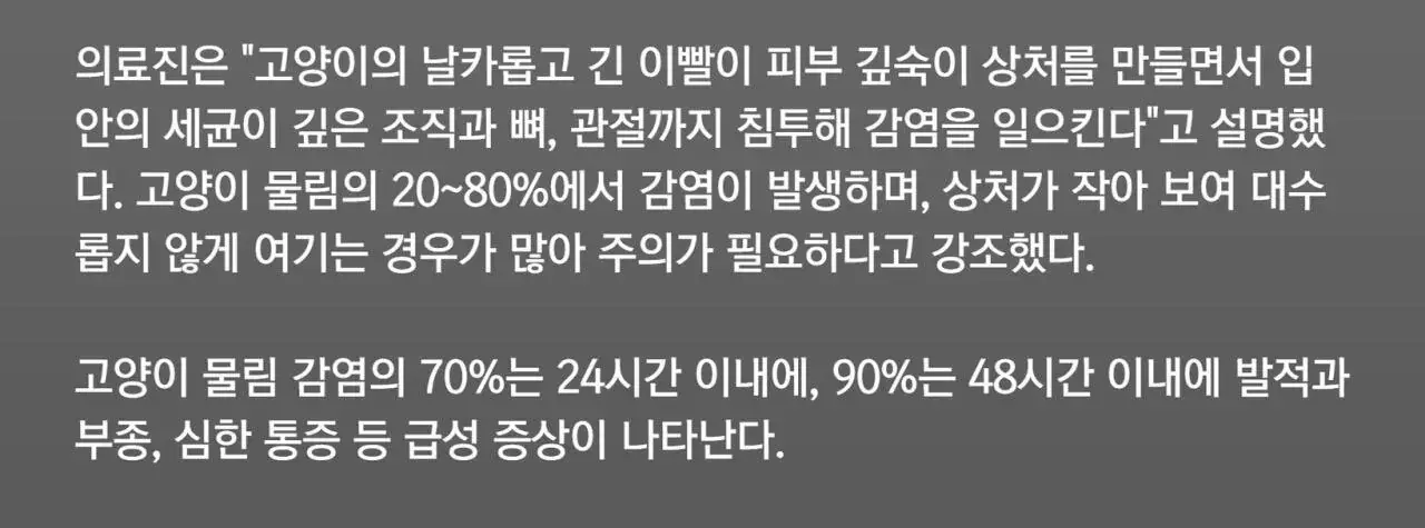 상처주의) 고양이 물림사고의 위험성. | mbong.kr 엠봉