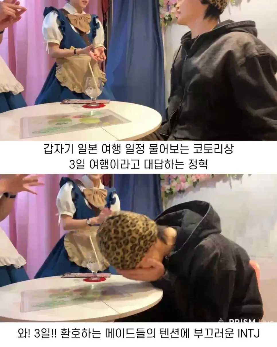 개존잘 한국인이 일본 메이드 카페 가면 생기는 일...jpg | mbong.kr 엠봉