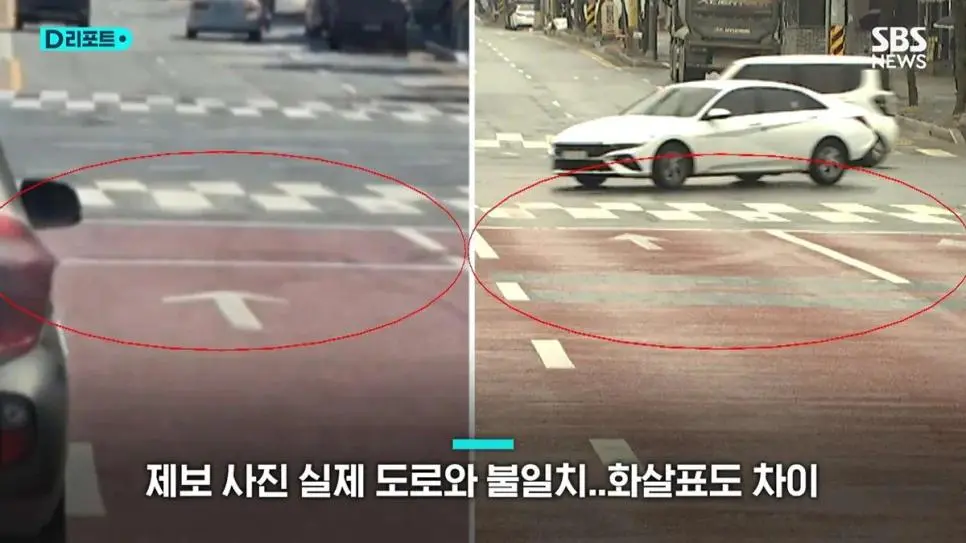 전부 AI 조작이었던 늑구 목격 사진 | mbong.kr 엠봉