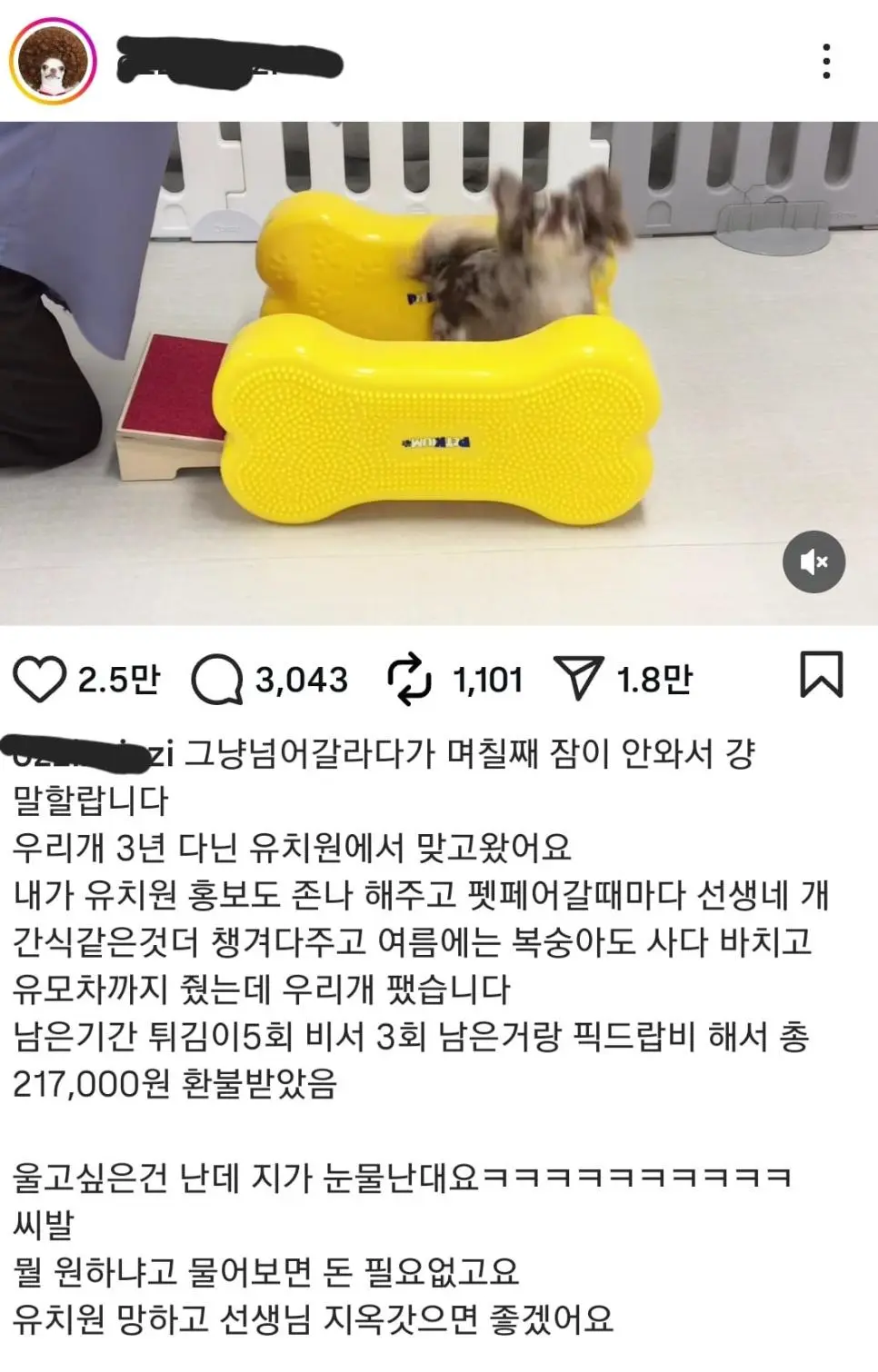 현재 난리난 강아지 패는영상보낸 유치원 | mbong.kr 엠봉