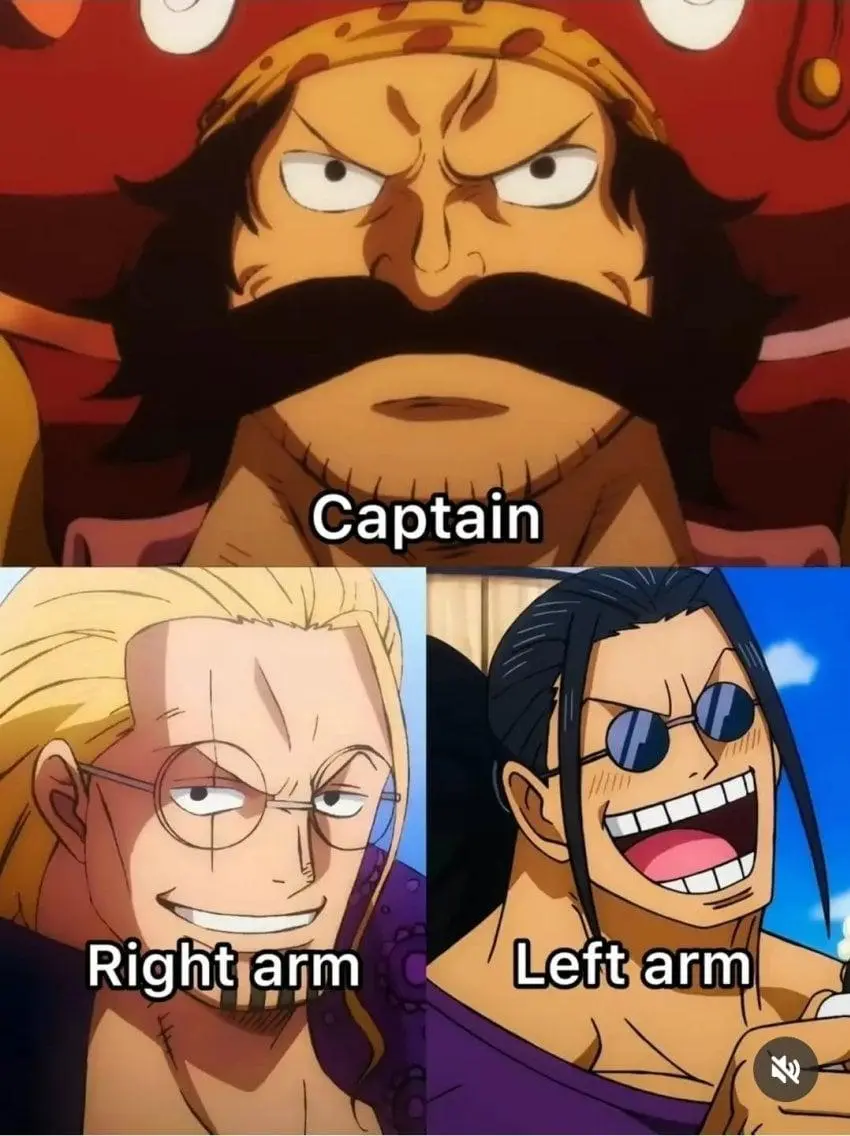 원피스) 선장의 왼팔과 오른팔 | mbong.kr 엠봉