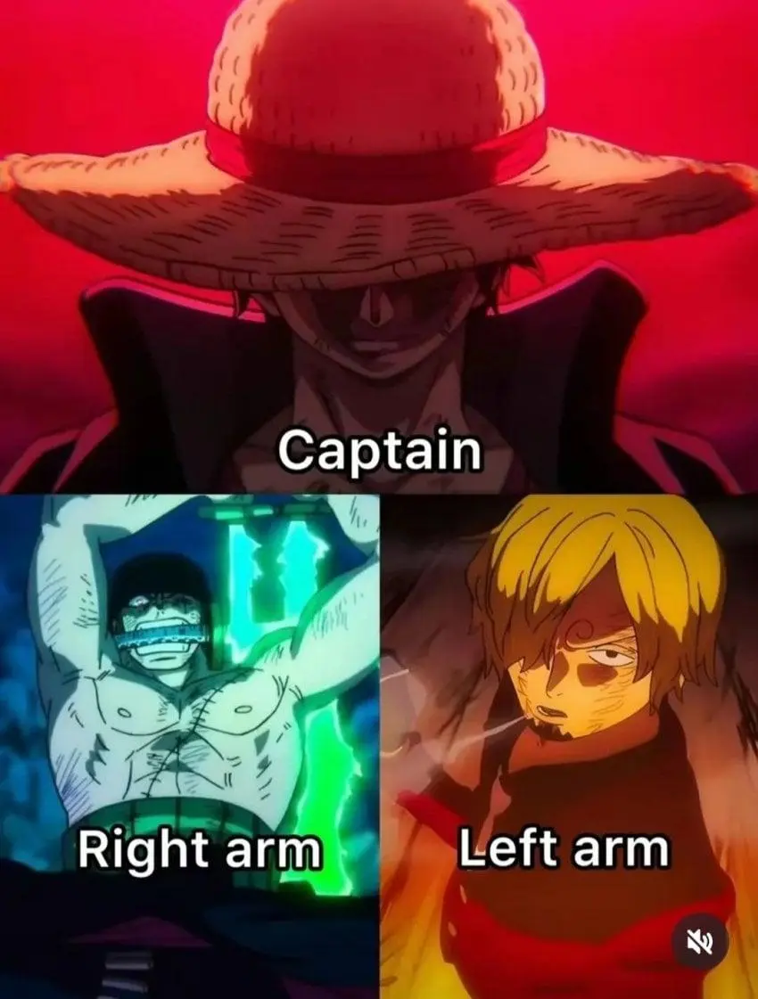 원피스에 나오는 선장 왼팔과 오른팔...jpg | mbong.kr 엠봉