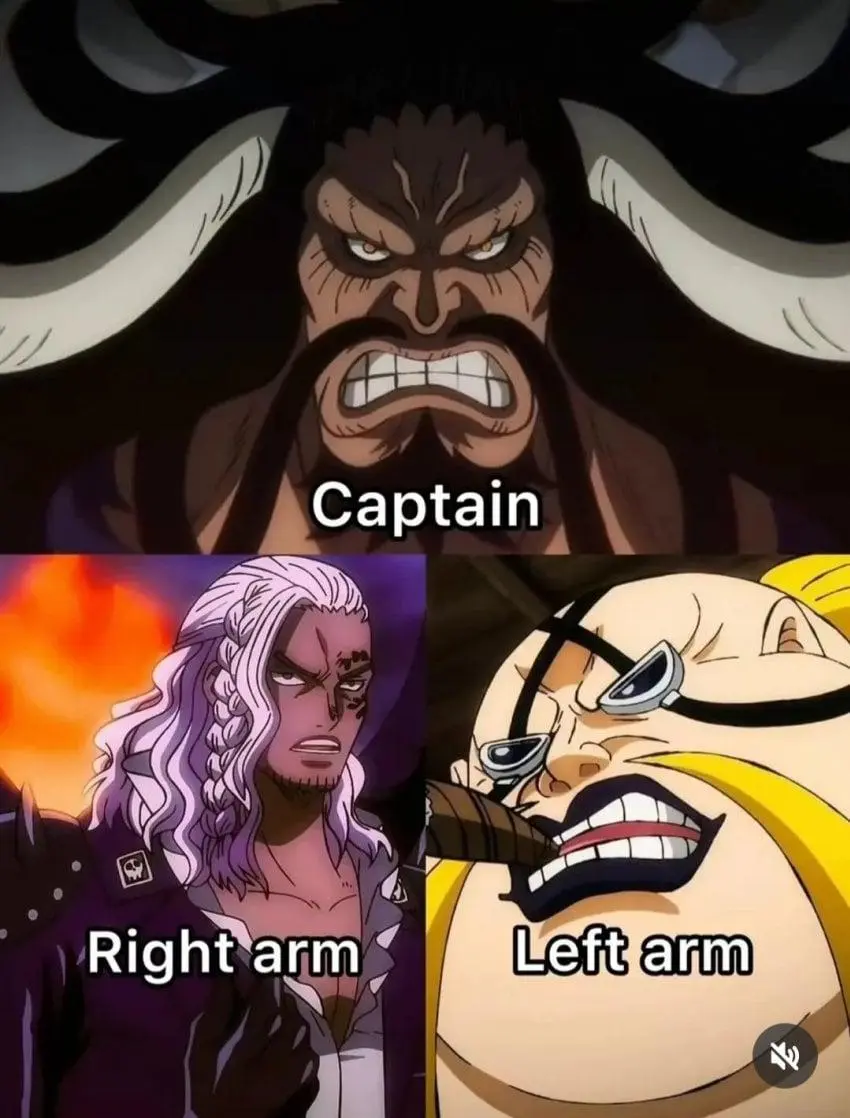 원피스) 선장의 왼팔과 오른팔 | mbong.kr 엠봉