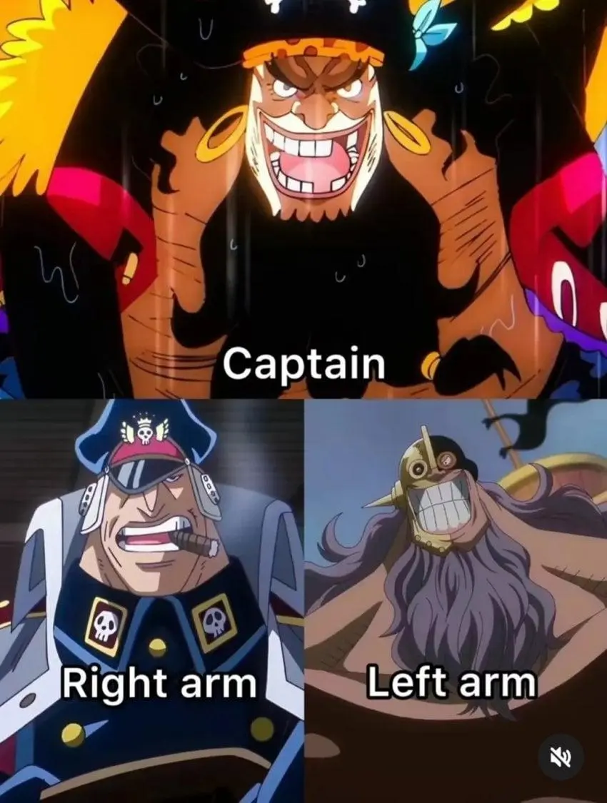 원피스에 나오는 선장 왼팔과 오른팔...jpg | mbong.kr 엠봉