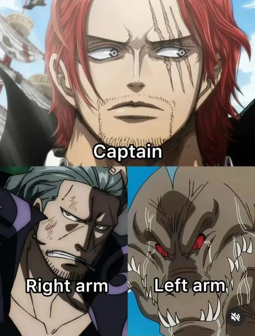 원피스에 나오는 선장 왼팔과 오른팔...jpg | mbong.kr 엠봉