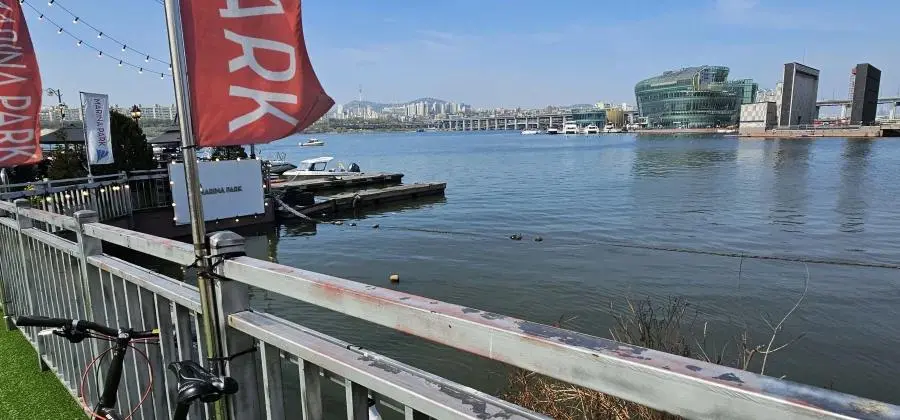 오늘 한강 근황 .jpg | mbong.kr 엠봉